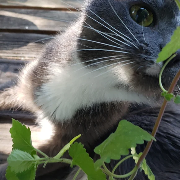 I Miss You So Much - Picture 13 of 15